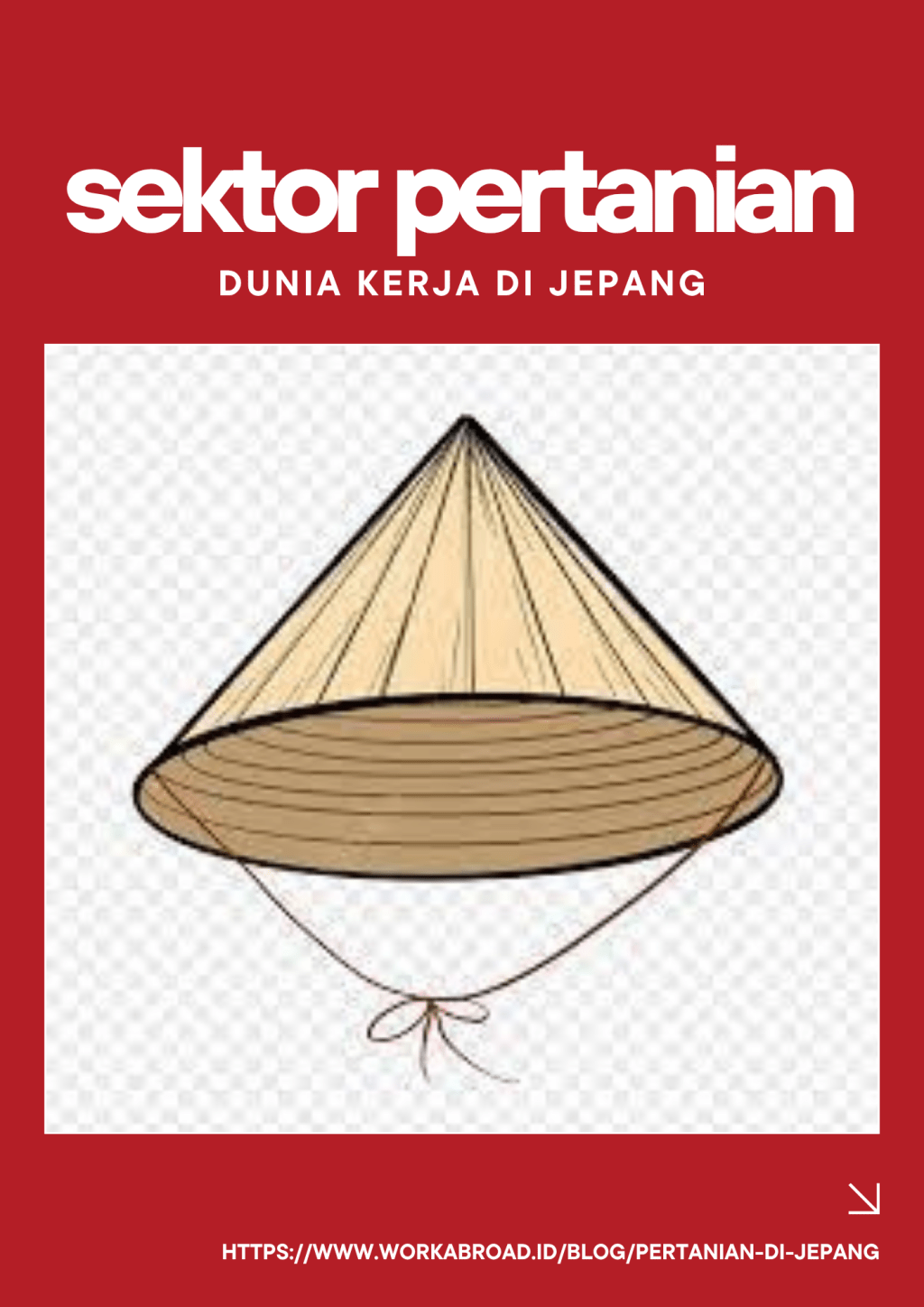 Transmigran Indonesia disiapkan ke Jepang