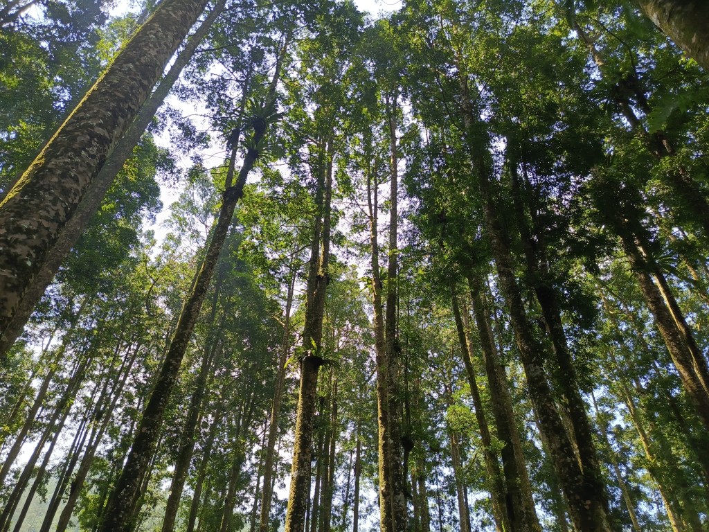 Slamet Trail Run 2025